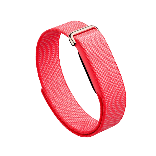 Google Fitbit Air – Berry